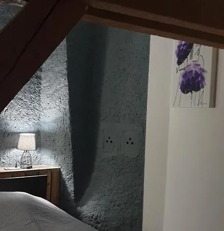 Les Lavandieres Apartmán Colmar