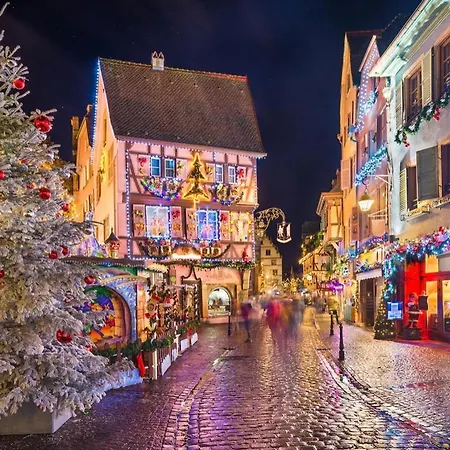 Les Lavandieres شقة كولمار