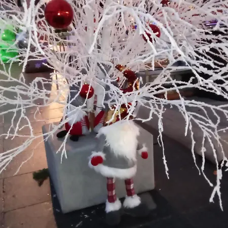 Les Lavandieres كولمار