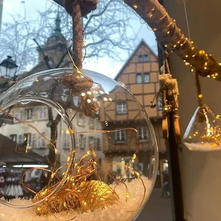 Les Lavandieres شقة كولمار