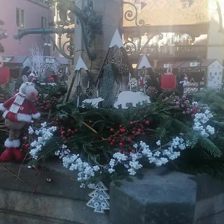 Les Lavandieres شقة كولمار