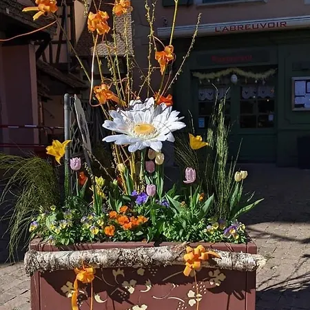 Les Lavandieres * Colmar