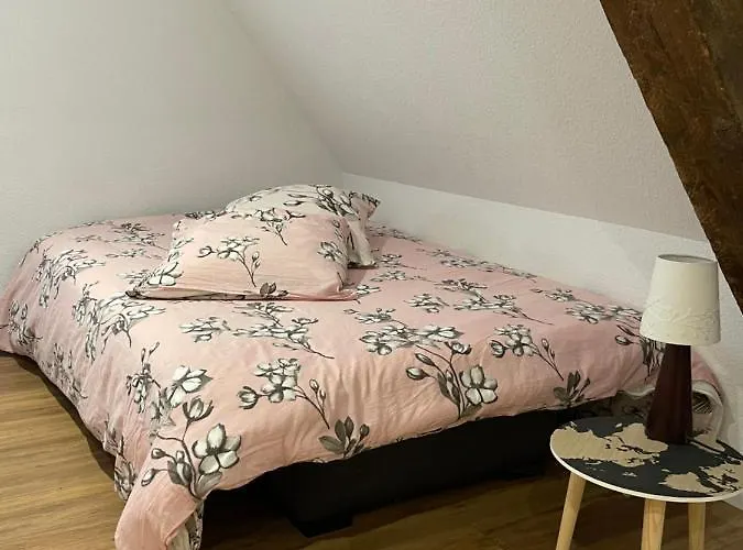 Les Lavandieres Colmar