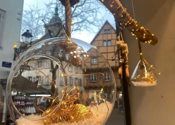 Les Lavandieres Apartment Colmar