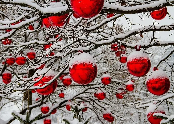 Apartment Les Lavandieres