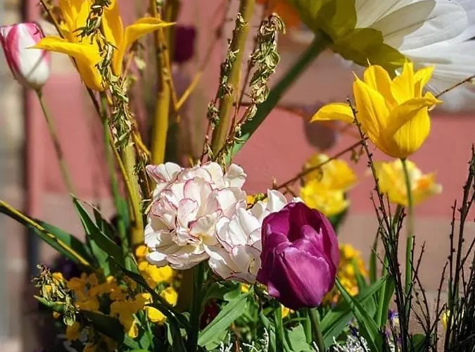 Les Lavandieres * Colmar