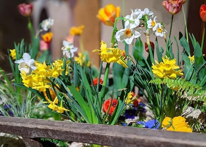 Les Lavandieres Colmar