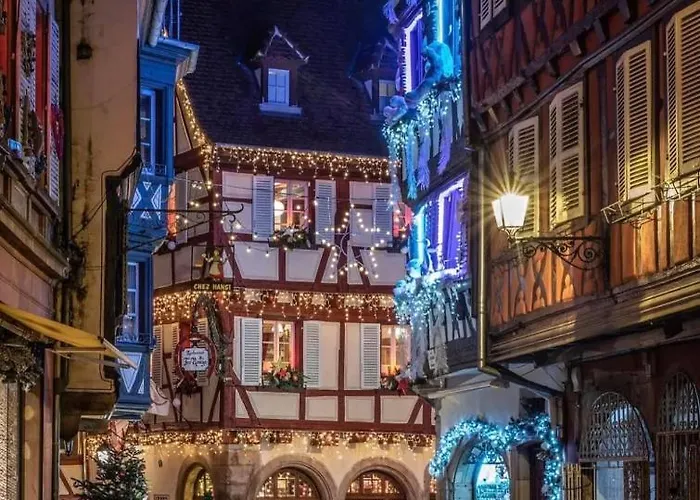 Apartment Les Lavandieres Colmar